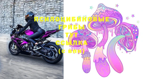 эйфоретик Коряжма