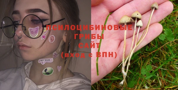 эйфоретик Коряжма