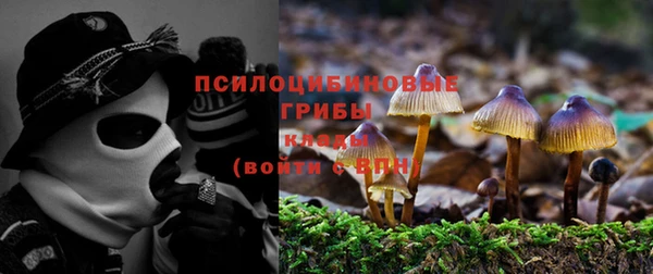 эйфоретик Коряжма